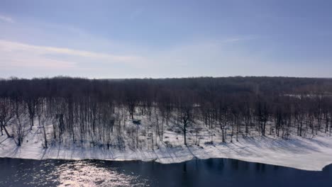 Drone-moving-laterally,-along-the-bank-of-a-forest-in-sunny-winter