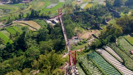 Rural-landscape-of-Central-Java-and-Jokowi-Bridge,-Indonesia,-aerial-view