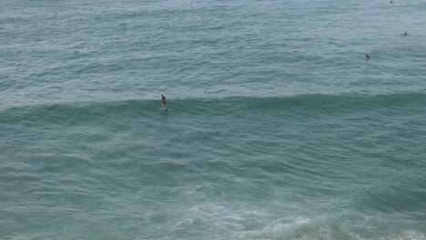 Männlicher-Hydrofoil-Surfer,-Der-An-Einem-Ruhigen-Tag-Im-Pazifischen-Ozean,-Exmouth,-Westaustralien,-über-Eine-Kleine-Welle-Surft