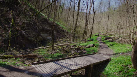 Hiking-trail-in-Spring,-Tilt-up