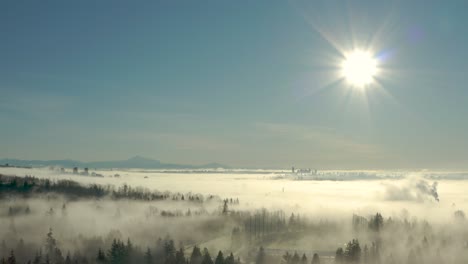 Aerial-view-of-sun-shining-over-pine-tree-forest-covered-by-fog-in-Burnaby,-British-Columbia,-Canada