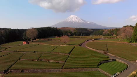 Stunning-aerial-drone-footage-at-tea-field-in-Japan-with-Mt