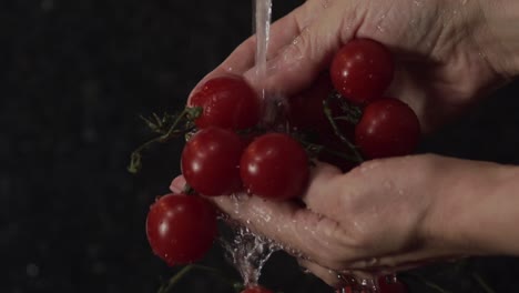 hands-rinsing-a-bunch-of-beautiful-ripe-cherry-tomatoes-under-running-clean-water---close-up