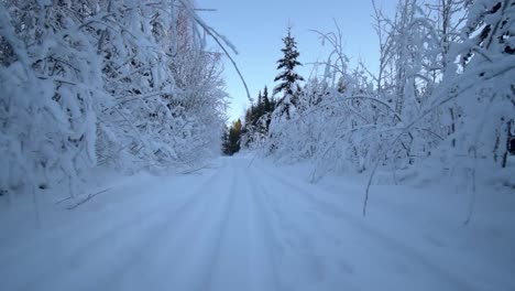 Traumhafte-Straße-Mit-Schneebedeckten-Bäumen