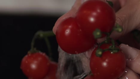 hands-slowly-and-carefully-rinsing-the-ripe-cherry-tomatoes-one-by-one-under-the-water-tap---close-up-shot
