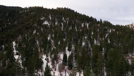 A-snowy-mountainside-and-a-pine-forest-in-the-Tehachapi-mountains-on-a-winter-day---aerial-view