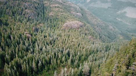 Forest-Basin-of-Vancouver-Island-Mountains,-Minnas-Ridge