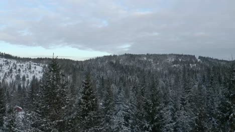 Dronefootage-of-a-winter-forest