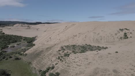 high-fps,-aerial-circling-shot-of-the-line-where-the-sand-dunes-meet-the-grass-plains-in-Llani,-Chile-with-hikers-in-the-shot,-taken-during-daytime