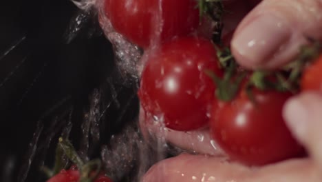 Reife-Tomaten-Werden-Für-Den-Salat-Vorsichtig-Unter-Dem-Wasserhahn-Gespült---Nahaufnahme