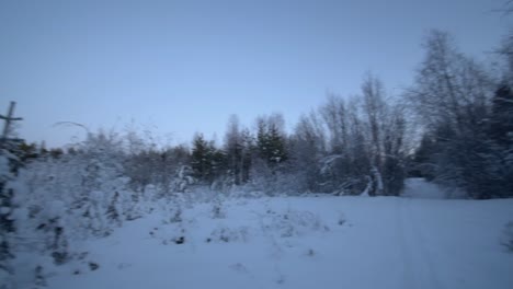 Ein-Wald,-Der-Während-Des-Sonnenuntergangs-Vollständig-Mit-Schnee-Bedeckt-Ist