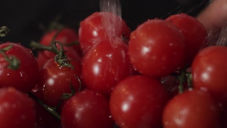 beautiful-tasty-ripe-red-cherry-tomatoes-rinsed-in-fresh-pure-water---close-up