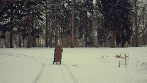woman-pushes-stroller-snow-winter-park-Prague
