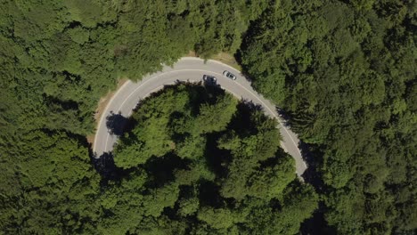 Oncoming-traffic-at-a-tight-curve,-topdown-droneshot-from-above,-high-resolution,-steady-shot-from-birds-eye-view-over-green-trees-at-the-summer-daytime