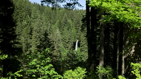 Cae-De-Las-Montañas-Del-Bosque-De-Coníferas-En-El-Parque-Estatal-Silver-Falls,-Oregon,-Estados-Unidos-De-América