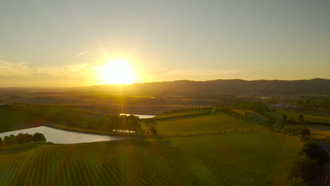 Slow-pan-left-aerial-perspective-over-dramatic-vineyard-landscape-with-lens-flare-in-Yarra-Valley,-Victoria,-Australia