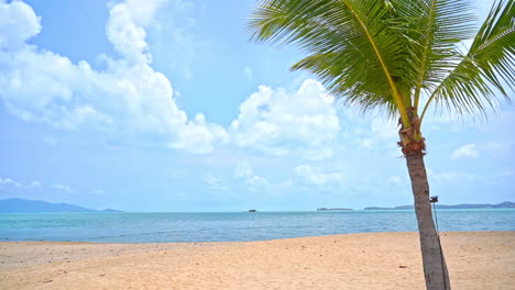 Leerer-Tropischer-Strand,-Sand,-Kokospalme-Und-Horizontblick-An-Einem-Sonnigen-Tag,-Exotisches-Urlaubsziel,-Zeitlupe