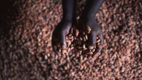Getrocknete-Natürliche-Kakaobohnen,-Die-Aus-Schwarzen-Afrikanischen-Händen-Fallen