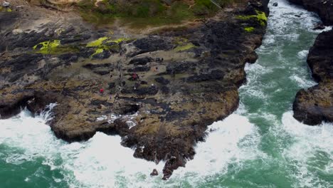 4K-30FPS-Aerial-Footage-of-Thor's-Well,-Spouting-Horn,-Highway-101-along-the-Oregon-Pacific-Northwest-Coast---Aerial-View-Turquoise-Blue-Water,-Mossy-Rock,-Birds-Flying,-Epic-Bridge-Reveal