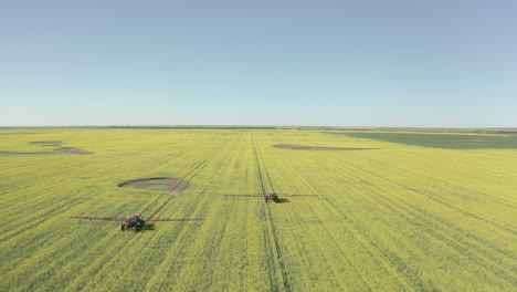 Drohnenflug-über-Rapsfeld-In-Kanada-Mit-Landwirtschaftlichen-Traktoren,-Die-Fungizide-Sprühen