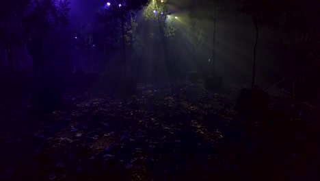Tilt-up-shot-inside-a-set-of-a-fake-forest-scene-with-a-mysterious-serene-look-in-the-light-and-the-atmosphere