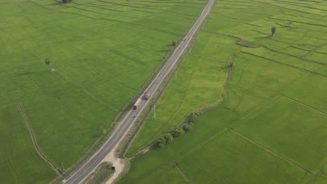 Aerial-Drone-Shot-of-Sri-Lankan-Bus-Driving-on-Rural-Road-through-Paddy-Farm-Meadows