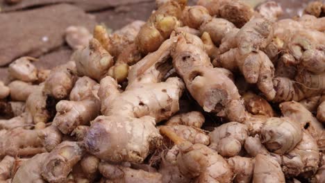 fresh-organic-ginger-from-farm-close-up-from-different-angle