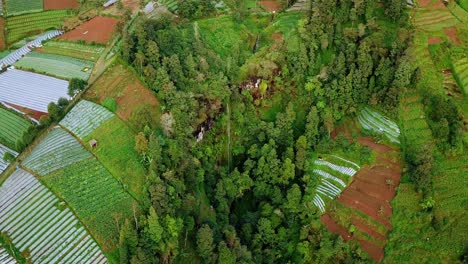 Idyllic-waterfall-surrounded-by-dense-lush-agricultural-fields-and-forest-in-Indonesia---aerial-top-down