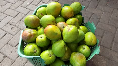 Frische-Köstliche-Tropische-Grüne-Mangos-Auf-Dem-Lokalen-Obst--Und-Gemüsemarkt-In-Dili,-Timor-Leste,-Südostasien