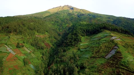 Aerial-wide-shot-of-beautiful-Mount-Sumbing-with-colorful-plantation-fields-and-forest-on-slope
