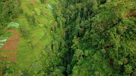 Natural-Waterfall-on-mountain-surrounded-by-deep-and-dense-forest-trees-at-sunlight---aerial-top-down