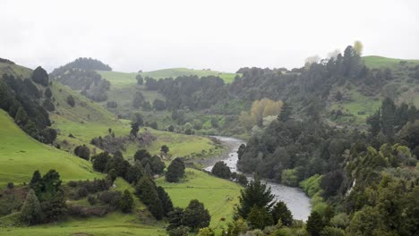 Small-river-flowing-through-lush-countryside-in-the-mountainous-regions-of-New-Zealand's-north-Island