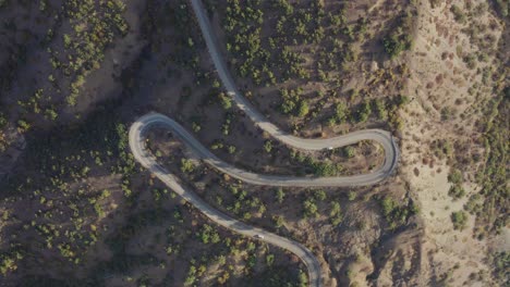 Aerial-top-view-shot-of-peaceful-forest-trees-and-serpentine-roadway