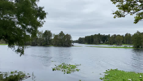 Hillsborough-River-State-Park-In-Tampa-Bay-Florida-USA-An-Bewölkten-Tagen,-Natürlicher-Wasserlauf-Grüner-Sumpf,-Umgeben-Von-Bäumen-Und-Vegetation
