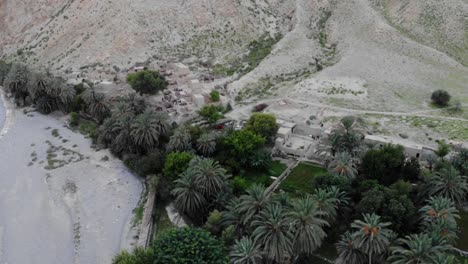 Aerial-View-Of-Village-Located-In-Khuzdar-With-Lush-Green-Trees-And-Gardens-Surrounded-By-Desert-Landscape