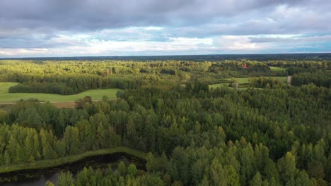 Green-forest-in-Latvian-landscape,-aerial-pedestal-up-during-golden-hour