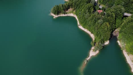 Aerial-overhead-orbit-shot-of-the-forest-meeting-the-turquoise-lake-of-Paltinu-from-Doftana-Valley-in-Romania