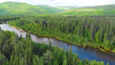4K-Drone-Video-of-Beautiful-Bend-in-the-Chena-River-as-it-runs-through-Pine-Tree-Covered-Mountains-near-Chena-Hot-Springs,-Alaska-in-Summertime