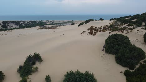 Dune-di-Piscinas,-a-wide,-big-massive-sand-desert-dune-by-the-seaside-with-a-sandy-ocean-sea-beach-on-the-island-Sardinia,-Italy