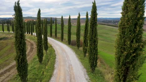 Drone-footage-of-amazing-landscape-scenery-of-Tuscany-in-Italy,-cypress-trees-along-white-road