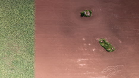 AERIAL-TOP-DOWN-LONG-TERM-TIMELAPSE-WIPE,-food-crops-grow-from-tillage