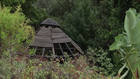A-dilapidated-wooden-roof-structure-in-the-middle-of-a-forest