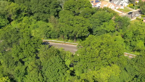 an-aerial-time-lapse-over-green-trees-by-a-highway-intersection-on-a-sunny-day