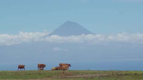 Pico-Bergblick-Von-Der-Insel-San-Jorge-Im-Azoren-Archipel