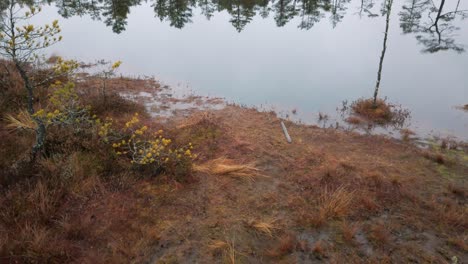 Estonia,-Lahemaa-National-Park,-Viru-Raba-Vaatetorn,-lake,-marsh-in-the-reflection-of-the-nature