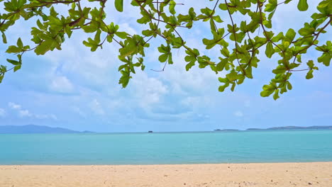 A-fringe-of-leaves-frames-the-golden-beach-on-the-edge-of-a-tropical-island