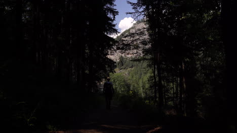 Silhouette-Eines-Wanderers,-Der-Durch-Den-Wald-Geht,-Mit-Berg-Im-Hintergrund