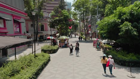 Aerial-dolly-out-wide-angle-shot-above-public-square-in-la-condesa-city-at-day
