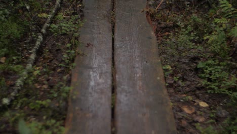 Wooden-forest-bridge-close-up-on-brown-wood-trail