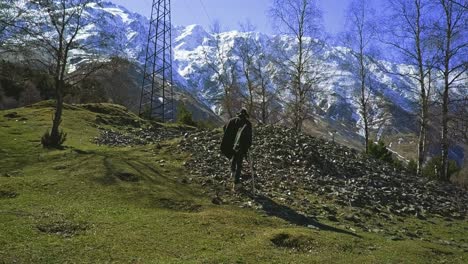 Einsamer-Wanderer-In-Den-Bergen-Mit-Poncho-Und-Stock,-Bäume,-Schneebedeckter-Berg,-Luftbild